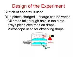 Design of the Experiment