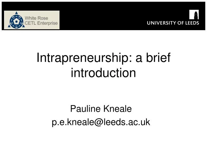 intrapreneurship a brief introduction