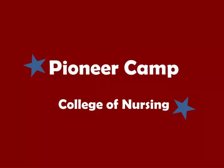 pioneer camp college of nursing
