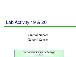 Lab Activity 19 &amp; 20