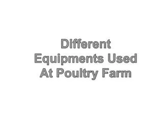 Different Equipments Used At Poultry Farm