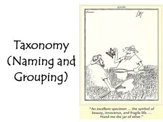 Taxonomy (Naming and Grouping)