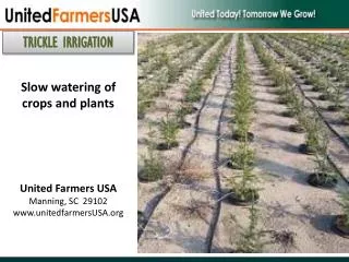 Slow watering of crops and plants United Farmers USA Manning, SC 29102 www.unitedfarmersUSA.org