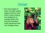 Vintage - slide 1