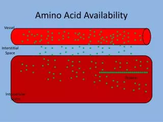 Amino Acid Availability