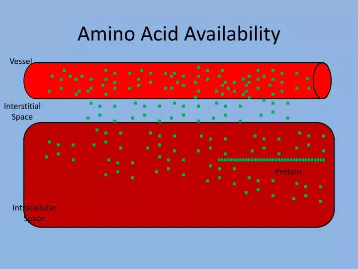 amino acid availability