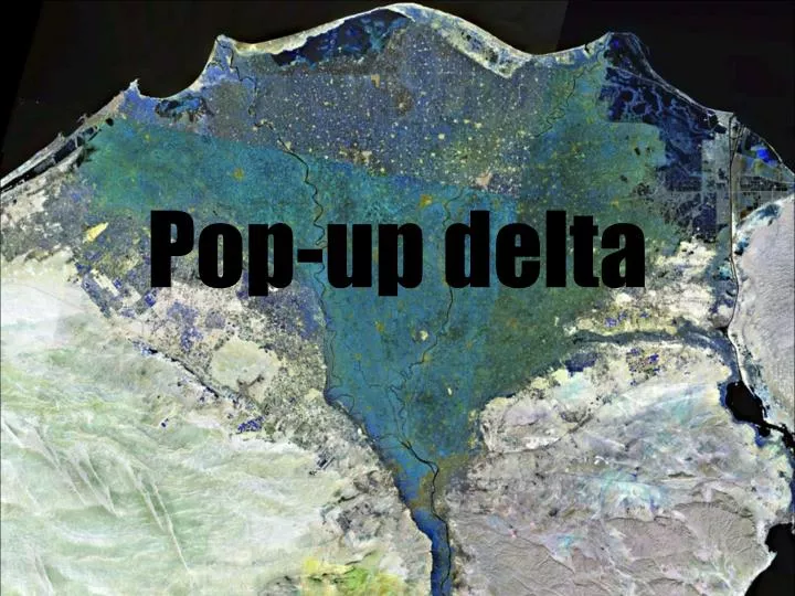 pop up delta