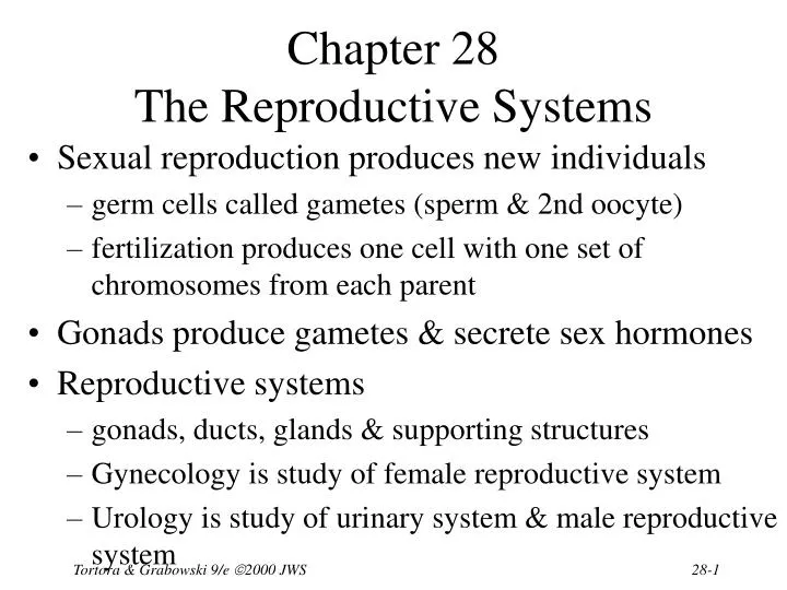 chapter 28 the reproductive systems