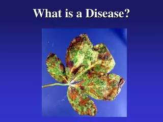 What is a Disease?