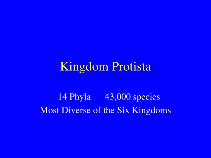 kingdom protista