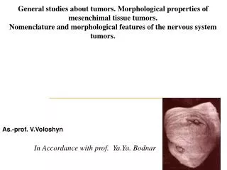 General studies about tumors. Morphological properties of mesenchimal tissue tumors.