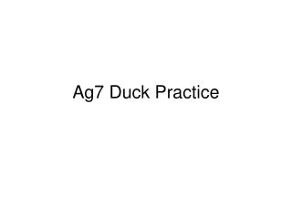 Ag7 Duck Practice
