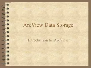 ArcView Data Storage