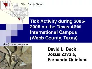 Tick Activity during 2005-2008 on the Texas A&amp;M International Campus (Webb County, Texas)