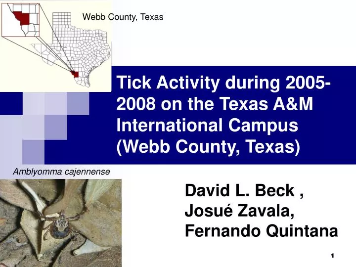 tick activity during 2005 2008 on the texas a m international campus webb county texas