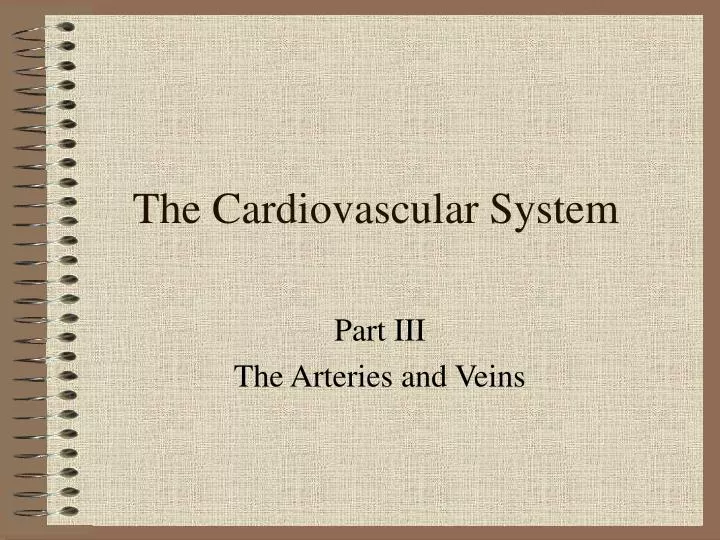 the cardiovascular system