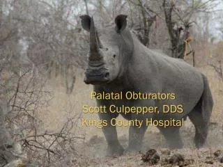 Palatal Obturators Scott Culpepper, DDS Kings County Hospital
