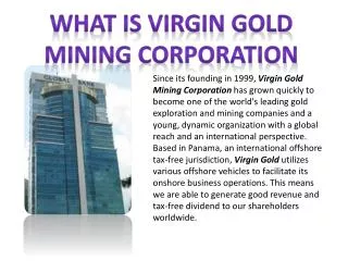WHAT IS VIRGIN GOLD MINING CORPORATION