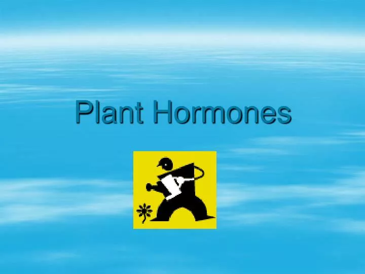 plant hormones