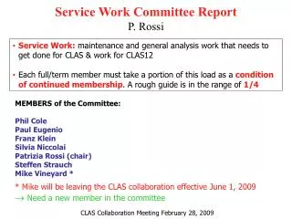 Service Work Committee Report P. Rossi