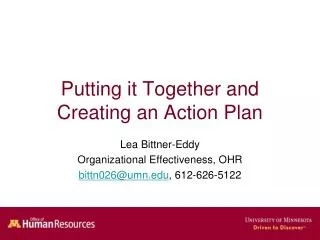 Putting it Together and Creating an Action Plan