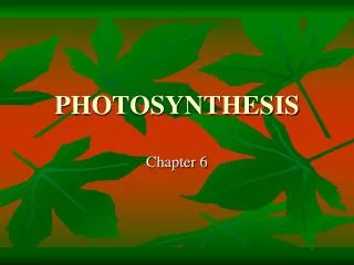 PHOTOSYNTHESIS