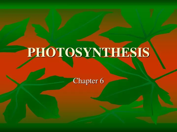 photosynthesis