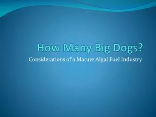 How Many Big Dogs?