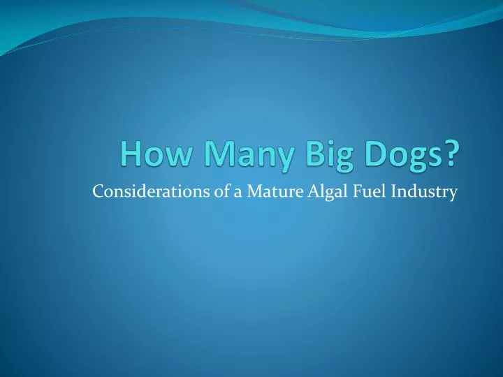 how many big dogs
