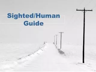 Sighted/Human Guide