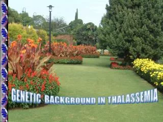 GENETIC BACKGROUND IN THALASSEMIA