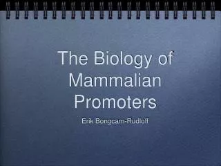 The Biology of Mammalian Promoters