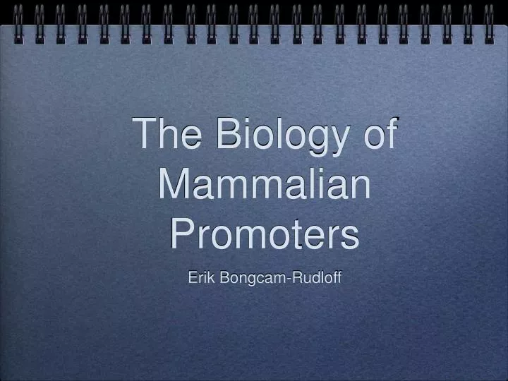 the biology of mammalian promoters