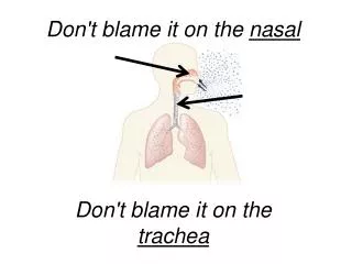 Don't blame it on the nasal Don't blame it on the trachea