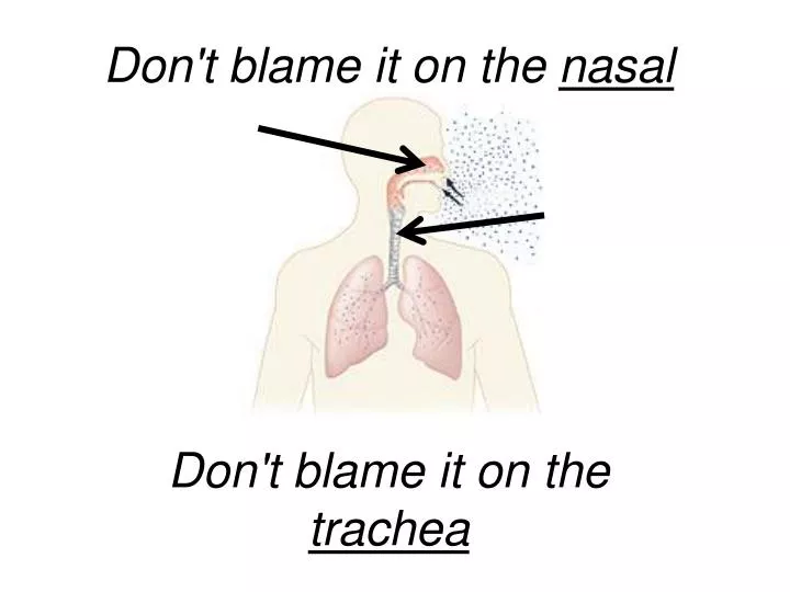 don t blame it on the nasal don t blame it on the trachea