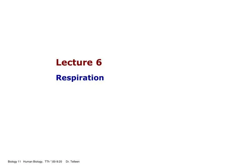 lecture 6 respiration