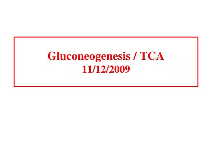 gluconeogenesis tca 11 12 2009