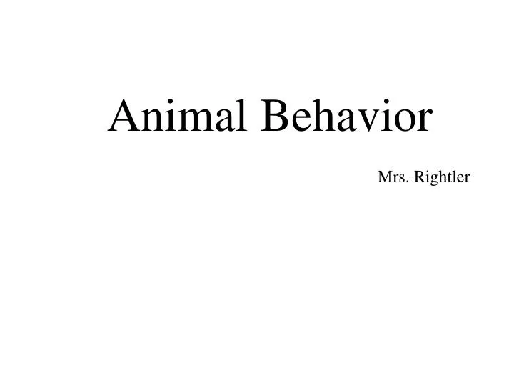 animal behavior