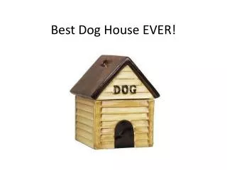 Best Dog House EVER!