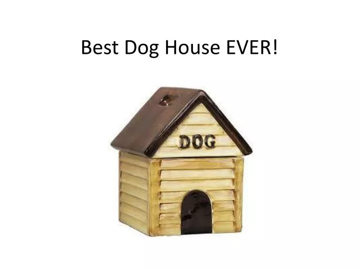 best dog house ever