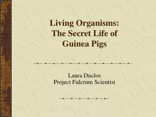 Living Organisms: The Secret Life of Guinea Pigs
