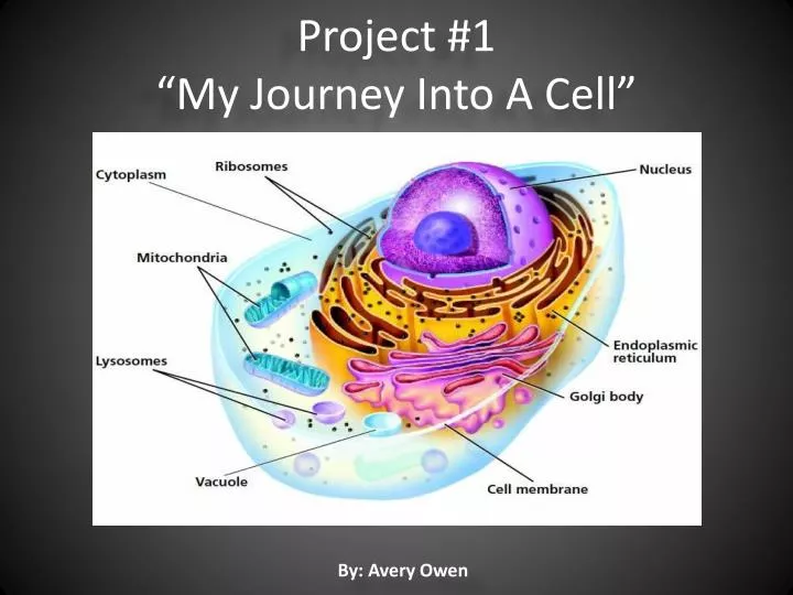 project 1 my journey i nto a cell