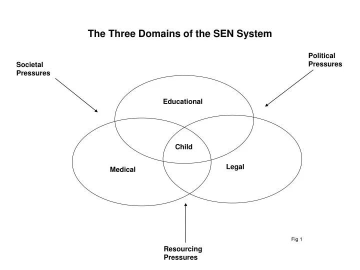 the three domains of the sen system