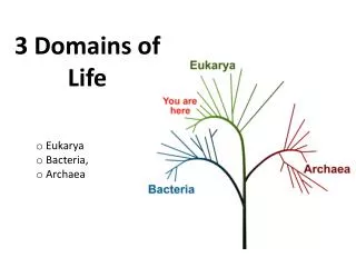 3 Domains of Life
