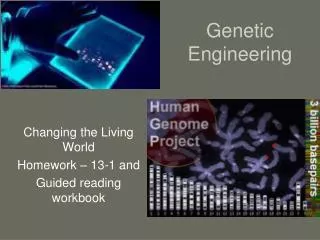 Genetic Engineering