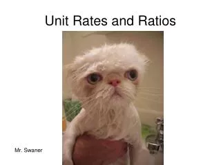 Unit Rates and Ratios