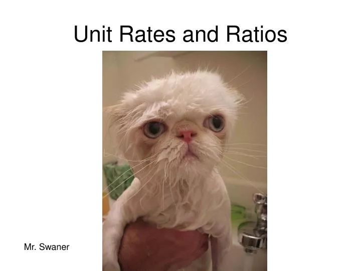 unit rates and ratios