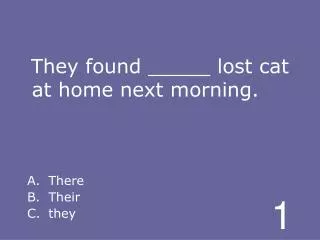 They found _____ lost cat at home next morning.