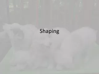 Shaping