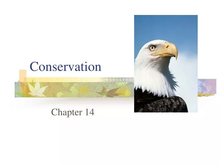 conservation